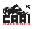 Aller sur le site : Campaigns and Activism for Animals in Industry (CAAI)